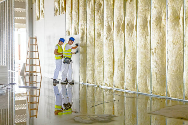 Best Insulation Maintenance and Repair in Evansville, WI